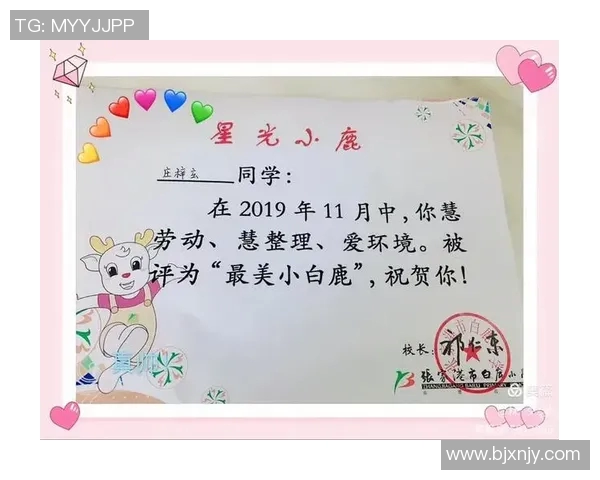 张帆的成长之路：从平凡少年到职场精英的奋斗故事与人生感悟