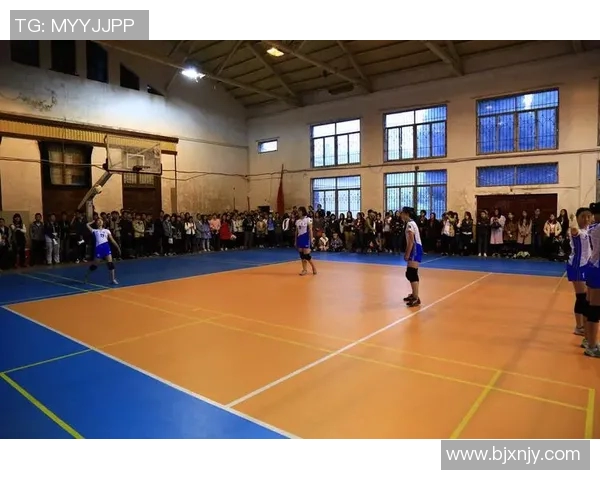 武汉排球队的阵地战解析与战术深度剖析