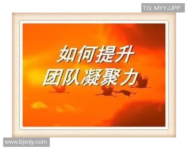 上海篮球队的意识提升与团队凝聚力探讨